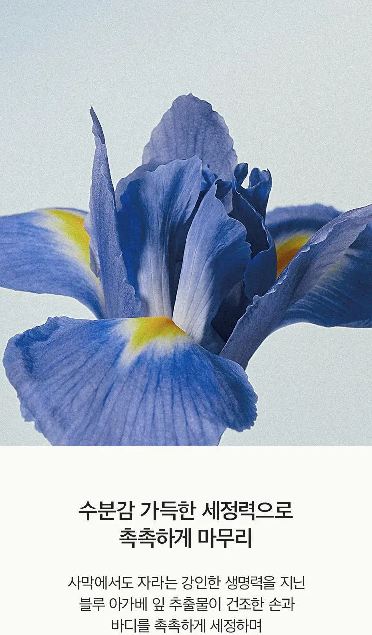 [Gift] 아닐로 센티드 핸드&바디워시 450ml 2종 택 1 상세페이지 22